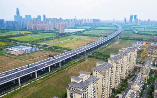 蕭山機場公路改建工程順利通過竣工質量專項驗收
